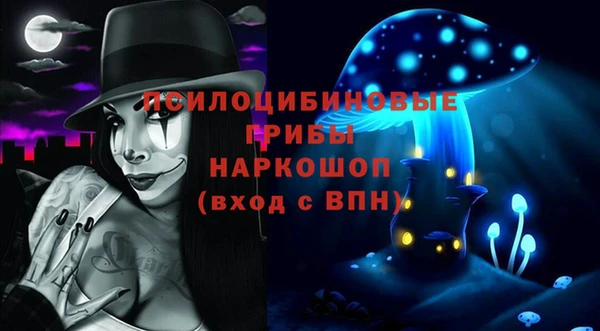индика Алзамай