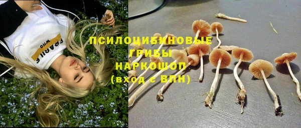 COCAINE Алексеевка