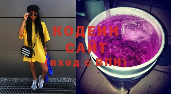 индика Алзамай