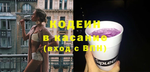 индика Алзамай