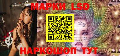 дмт Аргун