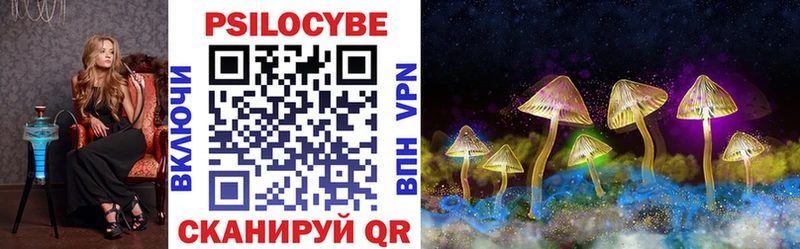 купить закладку  Алушта  Галлюциногенные грибы Psilocybe 