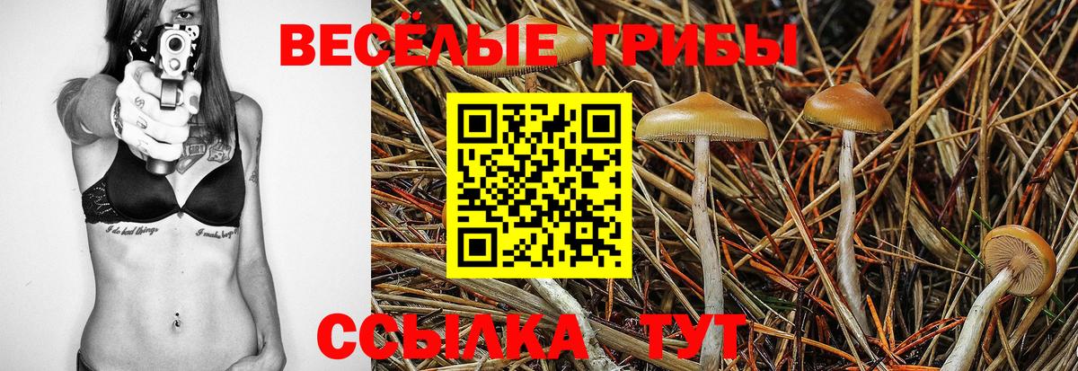 как найти   Вход с VPN  Алушта  Псилоцибиновые грибы прущие грибы 